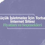 İnternet Sitesi Ne Kadar – Web Sitesi Türlerine Göre Ortalama Maliyet Rehberi